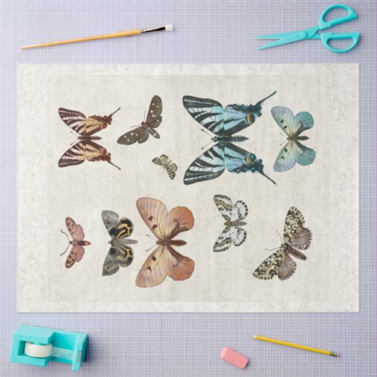 bovendellak  blauw perforatieblad tissuepapier (Craft)