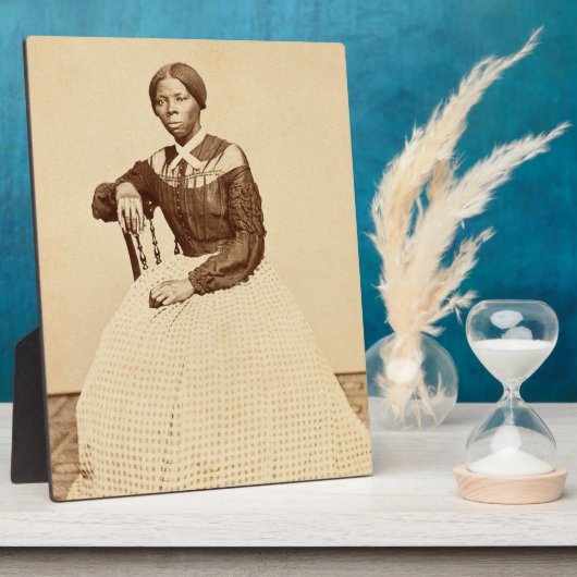 Bovengrondse spoorweg Harriet Tubman Fotoplaat (Zijkant)