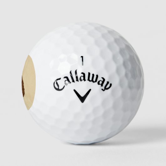 Bovengrondse spoorweg Harriet Tubman Golfballen (Logo)