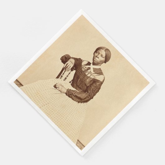 Bovengrondse spoorweg Harriet Tubman Servet (Hoek)