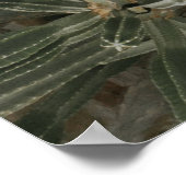 Bovenhoek fotografie van het zwembad in de openluc poster (Hoek)