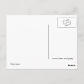 Bovenkant briefkaart (Achterkant)