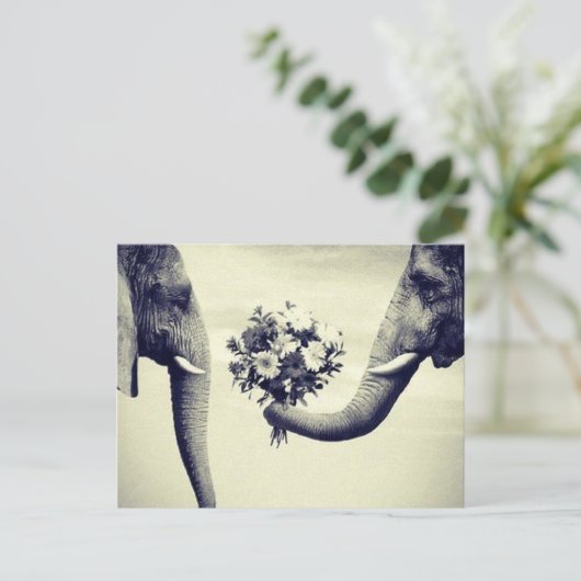 Bovenkant Briefkaart (Staand voorkant)