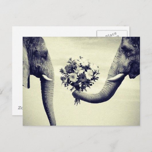 Bovenkant Briefkaart (Voorkant / Achterkant)