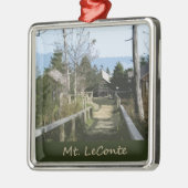 Bovenkant foto van Mt LeConte Metalen Ornament (Links)