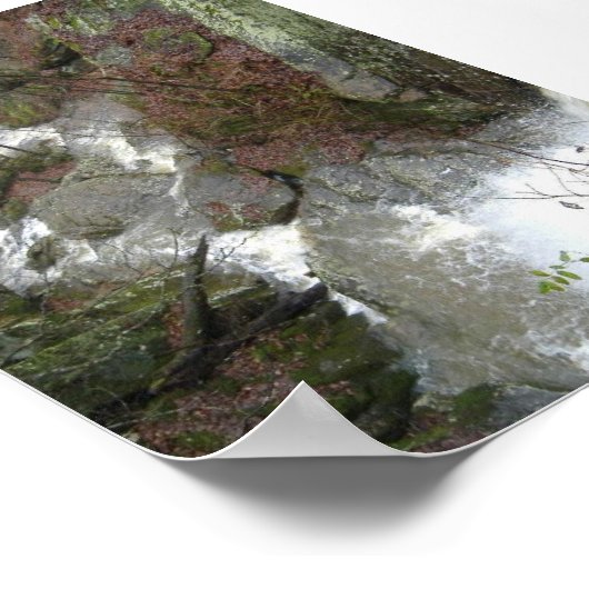 Bovenkant van de Herfst Poster (Hoek)