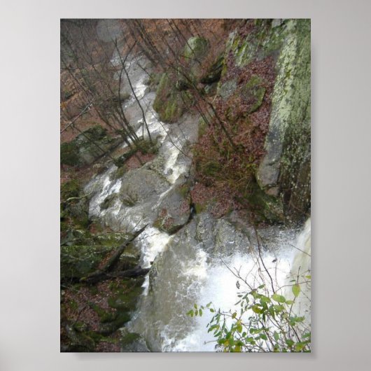 Bovenkant van de Herfst Poster (Voorkant)