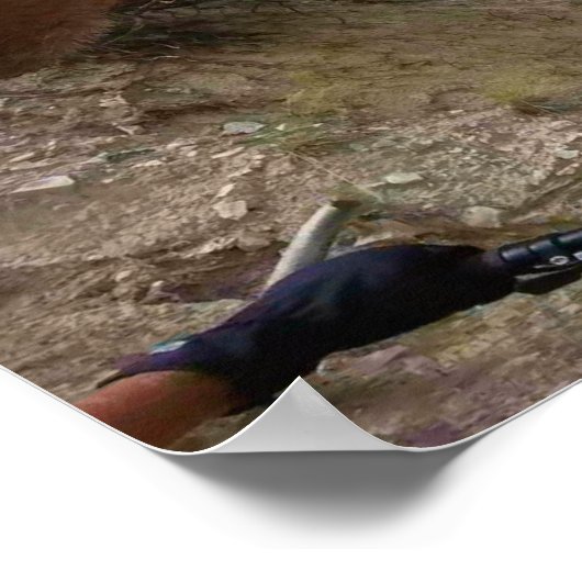 Bovenkant van de Lothar Poster (Hoek)