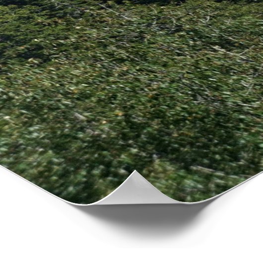 Bovenkant van de mokies poster (Hoek)