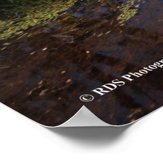 Bovenmeer in de Adirondacks. druk 08 240 Poster (Hoek)