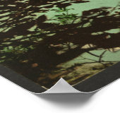 Bovenmeer Loon, Adirondacks, New York Poster (Hoek)