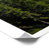 Bovenmeer Poster Kananaskis (Hoek)