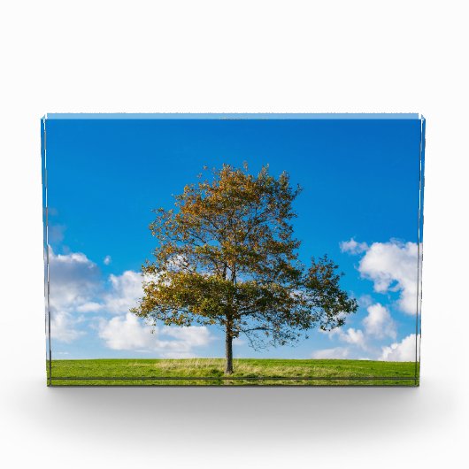 Bovenop De Wereld Fotoblokken (Voorkant)