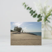 Bovenop Mt. Baldy, Nationaal Park Indiana Dunes Briefkaart (Staand voorkant)