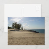 Bovenop Mt. Baldy, Nationaal Park Indiana Dunes Briefkaart (Voorkant / Achterkant)