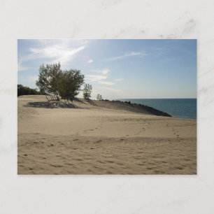 Bovenop Mt. Baldy, Nationaal Park Indiana Dunes Briefkaart