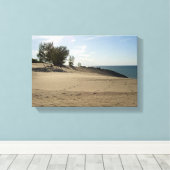 Bovenop Mt. Baldy, Nationaal Park Indiana Dunes Canvas Afdruk (Insitu (Houten vloer))
