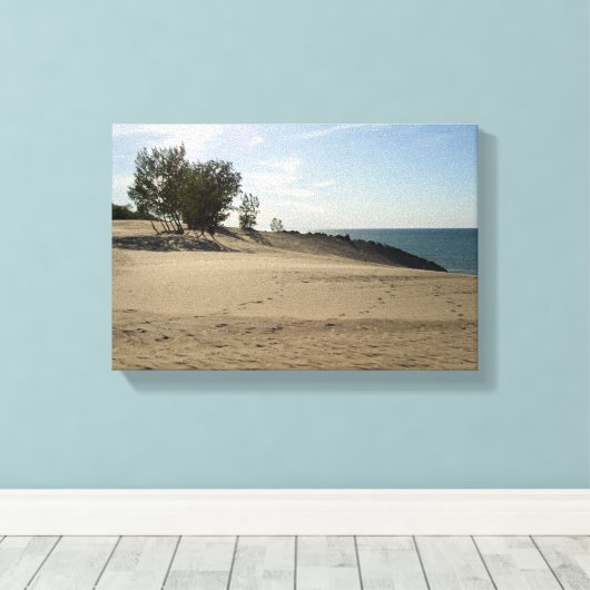 Bovenop Mt. Baldy, Nationaal Park Indiana Dunes Canvas Afdruk (Insitu (Houten vloer))