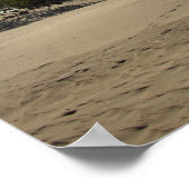 Bovenop Mt. Baldy, Nationaal Park Indiana Dunes Poster (Hoek)