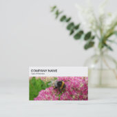 Bovenpaneel - Bumble Bee op Sedum Visitekaartje (Staand voorkant)