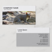 Bovenpaneel - Grijze eekhoorn Visitekaartje (Voorkant / Achterkant)