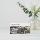 Bovenpaneel - Grijze eekhoorn Visitekaartje (Staand voorkant)