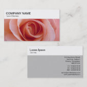 Bovenpaneel - Roze Visitekaartje (Voorkant / Achterkant)