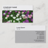 Bovenpaneel - TulpenVisitekaartje Visitekaartje (Voorkant / Achterkant)
