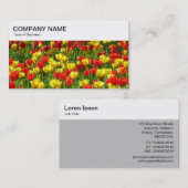 Bovenpaneel - Visitekaartje met rode en gele tulpe (Voorkant / Achterkant)