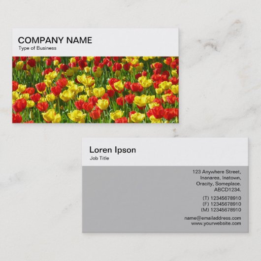 Bovenpaneel - Visitekaartje met rode en gele tulpe (Voorkant / Achterkant)