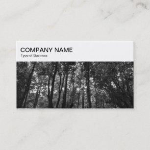 Bovenpaneel - Visitekaartje Woodland 02 BW