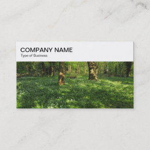 Bovenpaneel - Woodland Visitekaartje