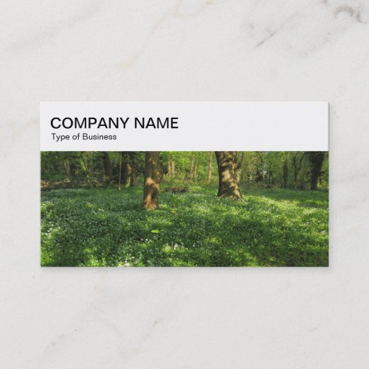 Bovenpaneel - Woodland Visitekaartje (Voorkant)