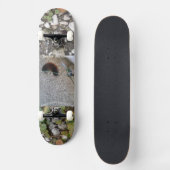 bovenpijler op het schaarplaat van het skateboard, persoonlijk skateboard (Voorkant)