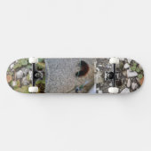 bovenpijler op het schaarplaat van het skateboard, persoonlijk skateboard (Horizontaal)