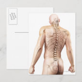 Bovenste Botten 2 Briefkaart (Voorkant / Achterkant)