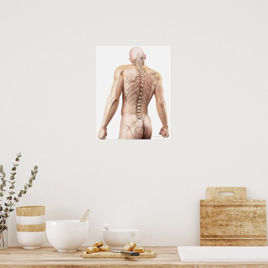 Bovenste Botten 2 Poster (Keuken)