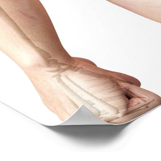 Bovenste Botten 2 Poster (Hoek)