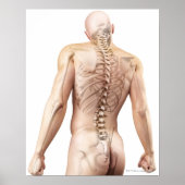 Bovenste Botten 2 Poster (Voorkant)