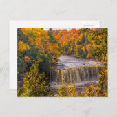 Bovenste Herfsten met volledige kleuren Briefkaart (Voorkant / Achterkant)