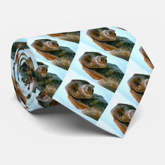 Bovenste hond stropdas (Opgerold)