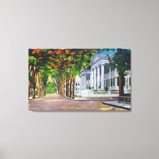 Bovenste hoofdstraat Uitzicht van koloniale beestj Canvas Afdruk (Voorkant)