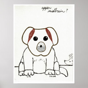 Bovenste middenhersenafdruk poster