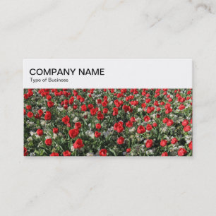 Bovenste paneel - Bed van Tulps-Visitekaartje Visitekaartje