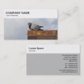 Bovenste paneel - Duiven op een Visitekaartje van  (Voorkant / Achterkant)