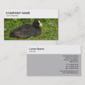 Bovenste paneel - Euraziatisch Visitekaartje (Voorkant / Achterkant)