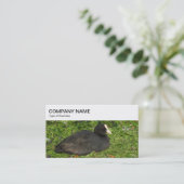 Bovenste paneel - Euraziatisch Visitekaartje (Staand voorkant)