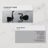 Bovenste paneel - Visitekaartje voor zwarte swans (Voorkant / Achterkant)