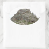 Bovenste Sticker (Tas)