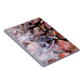 Bovenste strand van het meer onder water notitieboek (Rechterzijde)